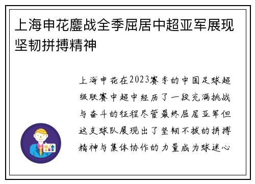 上海申花鏖战全季屈居中超亚军展现坚韧拼搏精神