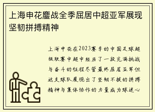上海申花鏖战全季屈居中超亚军展现坚韧拼搏精神